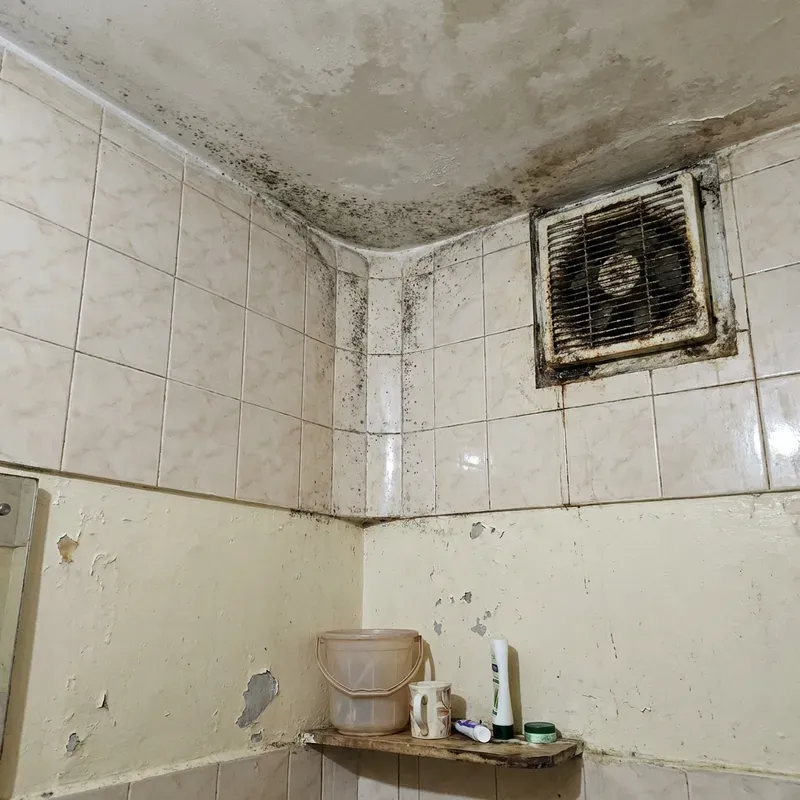 Mould and poor ventilation — A bathroom that stays damp needs better moisture control, airflow and surface planning.