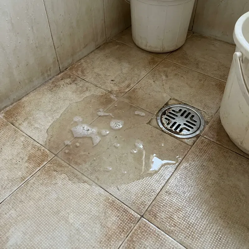 Slow drainage or standing water — The drain position, floor slope, trap and line condition all affect how quickly water clears.